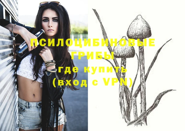 mdpv Кукмор