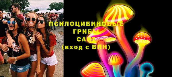 прущий лед Краснослободск