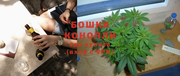 крисы Горно-Алтайск