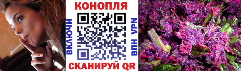 KRAKEN ссылка Терек Бошки марихуана гибрид